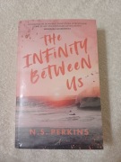 THE INFINITY BETWEEN US, N.S. Perkins