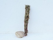 Kadzidło naturalne Bylica potężne zioło ochrony