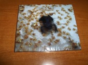 RAINY DAY - Wykute w Deszczu