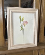 Obraz z pastelowym, delikatnym kwiatem