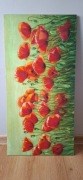 Duzy obraz maki polne  100 cmx 50 cm