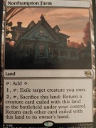 Northampton Farm MTG TMNT