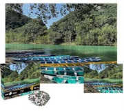 Puzzle 1000 elementów The Wise Koala – Limitowana Edycja + Plakat