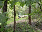 Naturalny miód pszczeli z Masłowa