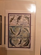 Komory 1998  Mi 1311- 9 gady ryby  arkusz czysty idealny