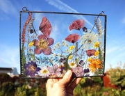 Witraż, dekor z suszonych kwiatów łąka czerwona