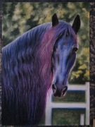 Portret konia. Pastele 50x70 cm