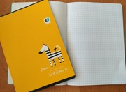 Zeszyt A5 16 kartek kratka 