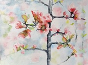 Akwarela 30x40 - "Pigwowiec"