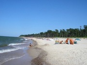 Domena wicie.info.pl