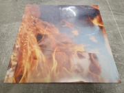 Baby In Vain See Through