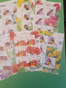 ark  Fi  5142-5147 OWADY 2021