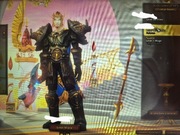 Wow postacie warmane . Priest , paladyn