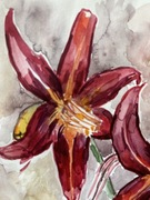 „ Lilie” piękna akwarela