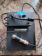 Fishman Rare Earth Mic Blend - doskonały przetwornik do gitary akustycznej 