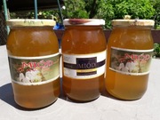 Miód z własnej pasieki