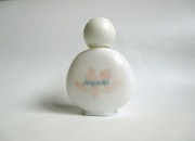 Miniatura Magnolia Yves rocher