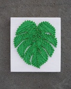 Monstera Obraz String Art Rękodzieło 20x20cm