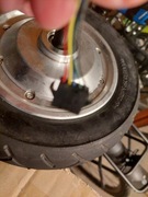 Silnik 36V 350W BLDC z czujnikiem Halla