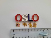 Magnes na lodówkę - 719d. OSLO z przywieszkami 