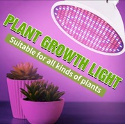 Żarówka Lampa do wzrostu roślin E27 LED 