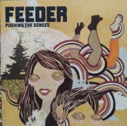 Feeder  Pushing The Senses (Rock, Alternative Rock, Indie Rock) (5)  