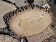 DĄB 72/55/8 cm Blat Plaster Drewna Stolik Żywica DIY Wysuszony