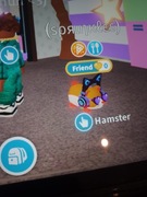MFR hamster adopt me(preppy pet)