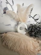 Strusie pióra łosoś 45-50 cm