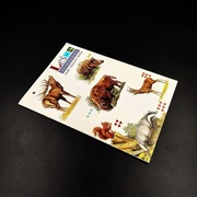 Leśna kolorowanka edukacyjna ssaki polskich lasów książka dzieci nauka