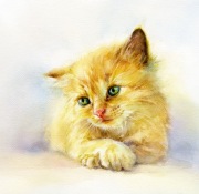 Kicia zielonooka – akwarela oryginał