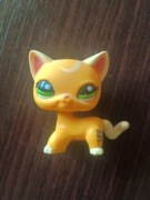 Littlest Pet Shop LPS unikat kot kotek shorthair POP petshop
