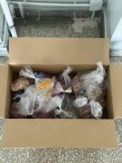 Zestaw suszone kwiaty, suszki, naturalne kwiaty do dekoracji