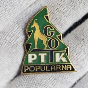 Odznaka PTTK GOT popularna Górska Odznaka Krajoznawcza