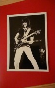 The Rolling Stones - Ronnie Wood