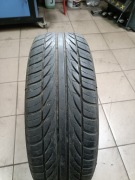 Dayton D210 195/65 r15 letnia 1 sztuka