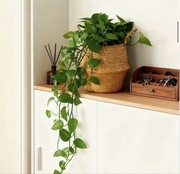 Stylowy Pleciony Kosz Ozdobny – Uniwersalny Domowy Organizer