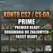 Konto Steam CS2 Status PRIME 10LVL | Premier Ready | FACEIT CSGO CS:GO