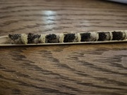 murarka rogata - 70 sztuk 