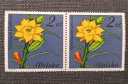 Polska Fi 2638 ** parka Kwiaty sukulentów - kaktusy 1981 nr 16 !!!