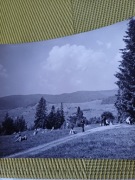 Krynica  LATA 60 TE