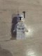 Lego figurka White Boba fett sw0631