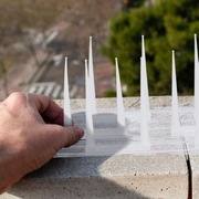 Kolce odstraszających ptaki 160cm