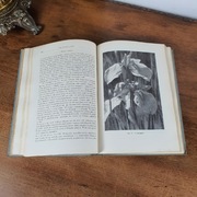 Byliny w parku o ogrodzie 1957 r.