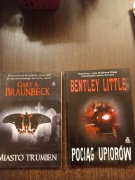 Książki   horror szt.2