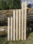 SZTACHETY, SZTACHETKI SOSNOWE, PŁOT