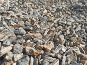 Kora Kamienna Gnejs kamień ozdobny głazy płytka kora gabionowa Jaworzno