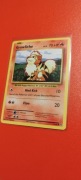 Growlithe 17/108 Evolutions XY 2016 NM