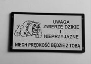 Wyjątkowe tabliczki uwaga zły pies duży wybór doberman, amstaff owczarek