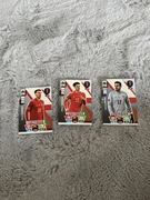 karty FIFA world cup qatar2022 Walia